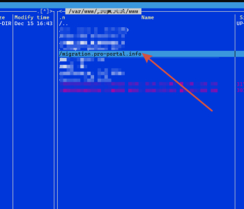 Выбор сайта